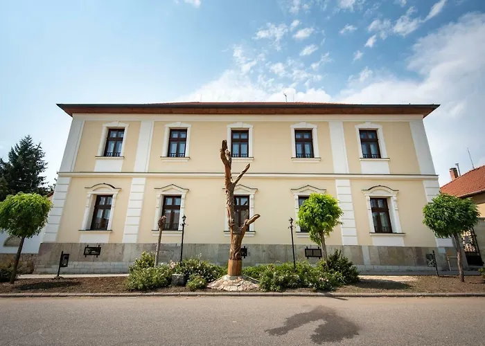 Grossmann Haz 4* Mád